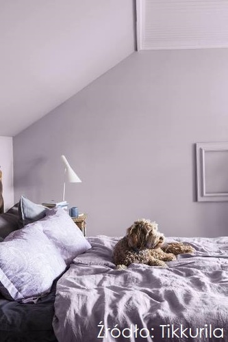 Fiolet w roli gł&oacute;wnej. Kolor, kt&oacute;ry tworzy nastr&oacute;j i strukturę wnętrza